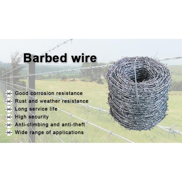 Boundary Wall Galvanized Steel Barbed Wire 12*14 Gauge