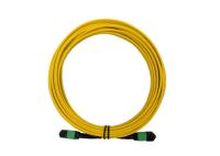 12 mode unitaire de corde de correction du SM 20m MTP MPO du noyau RPA 9/125 LSZH femelle à la femelle
