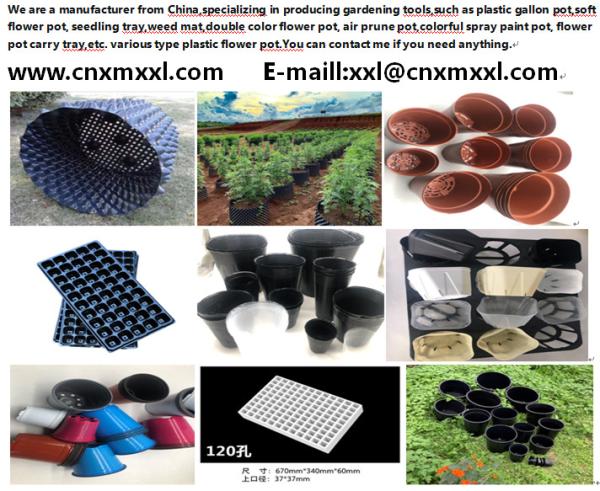 200 Holes Nursery Tray Plastic Seedling Tray Mango Plant Tomato Cell Trays