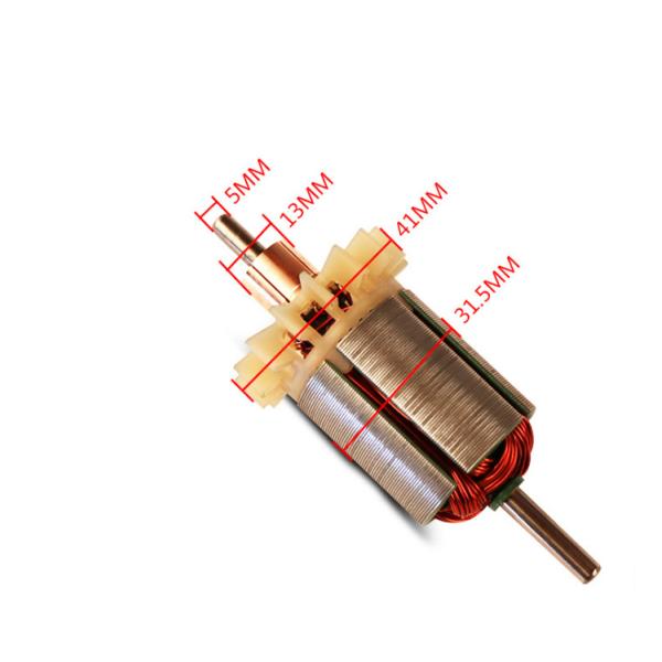 12V 24V Dual Ball Bearing Brushed DC Motor 895 775 795 High Power 300W For Power Tool