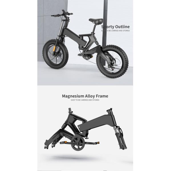 20 Inch Fat Tire Electric Folding Bike AC100v With 10AH Lithium Battery
