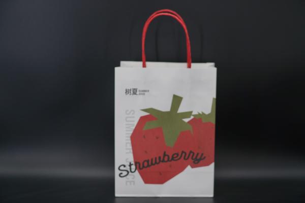 Discounted Custom Retail Paper Bags White Printing Cardboard Shopping Bags