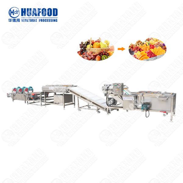 Professional Fruit Washing Processing Line Tomato Mango Production Line
