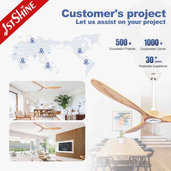60 Inch DC 3 Blade Wood Blade Ceiling Fan 5 Speed Remote Control 110-220V/50/60hz
