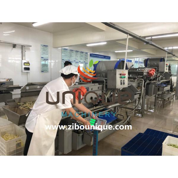 Машины для очистки лука Маленькие и большие Машины для очистки лука 4970*1510*1813 мм 3 кВт