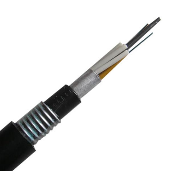 G652D 250um Fiber Outdoor Armored Fiber Optic Cable GYTA53 48 Core