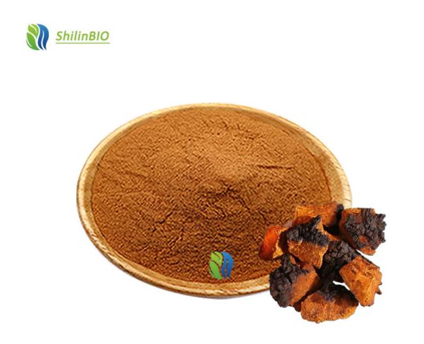 Chaga Mushroom Extract 30-45% Polysaccharides