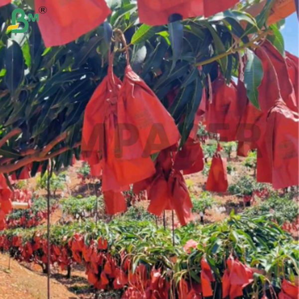 56g Single Side Wax Red And Black Paper For Mango Growing Bag, Weather-Resistant Fruit Protection Paper