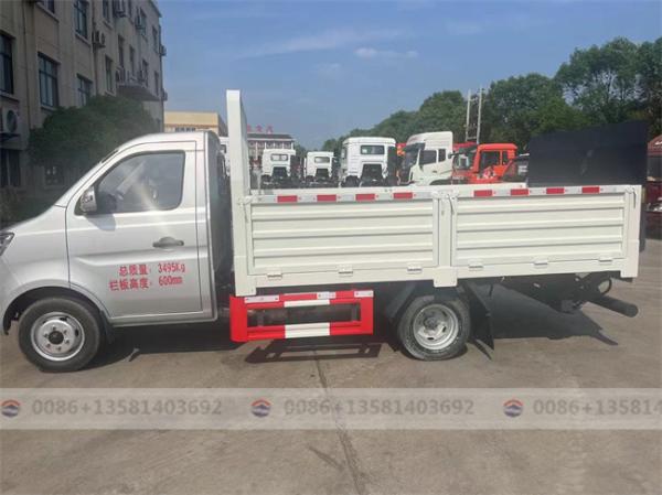 China Good Quality Cargo Lorry 1.5ton More Load Light Small Mini Cargo Truck for Sale