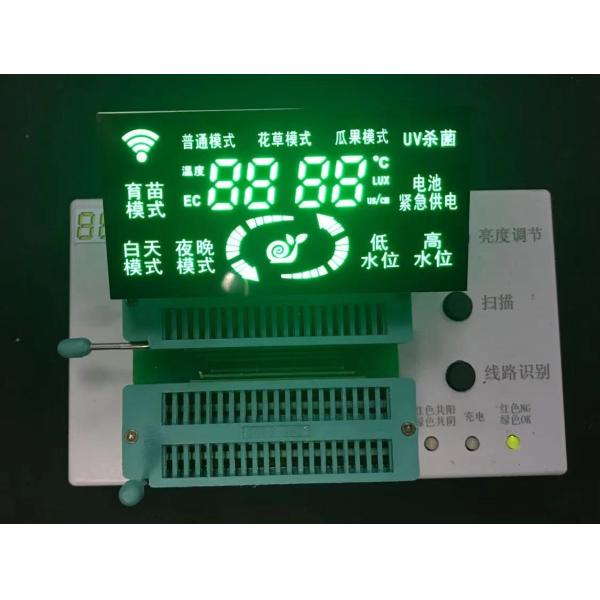 Customized RY7437 Segment Green color LED Display for Industrial Instrument