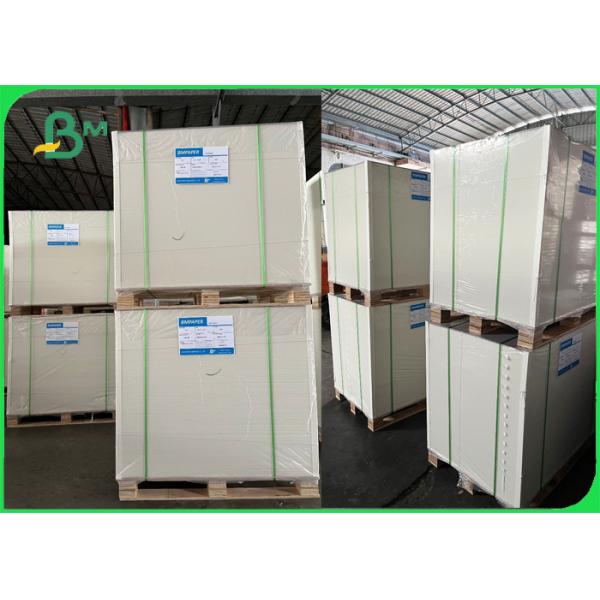 1 side coated food board 1 Side Coated 350gsm Renewable Food Service Paperboards Sandwiches Board
