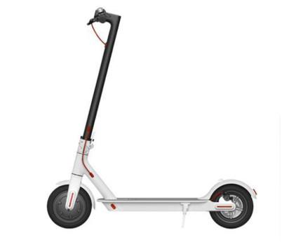8.5 Inch 2 Wheel Electric Scooter Adult Standing Skateboard 36V 250W Motor Power