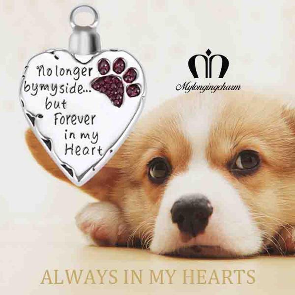 OEM Pet Urn Necklace For Ashes