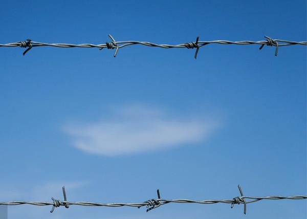 Utilização de paredes de prisão PVC revestido / galvanizado