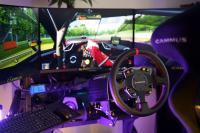 Roda do boi de Rig Simulator Racing Game Machine do PC com pedal