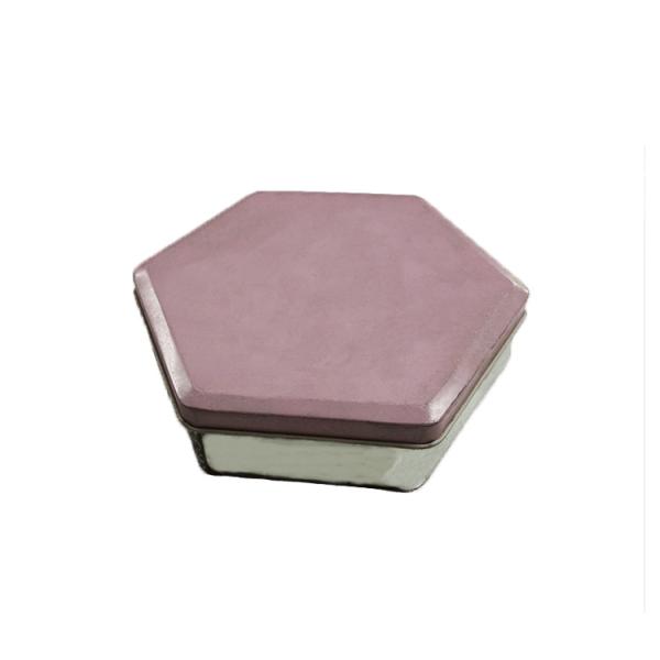 Hexagon Shape Printed Tin Boxes , Cartoon Pattern Tin Cookie Containers