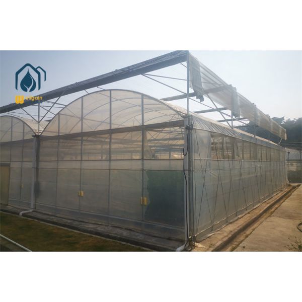4mm UV Protected Polycarbonate Sheet Greenhouse with High Impact Resistance WELLGAIN Agricultural Greenhouse Solution