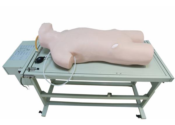 Comprehensive Puncture Clinical Simulation Various Postions for Hospitals Training