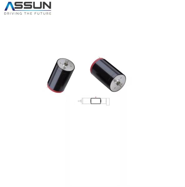 12v Brushed Coreless Motor 250mA Rated Current 2.1 MN.M Torque
