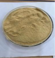 Levaduras para la alimentación animal con alto contenido de proteínas reales