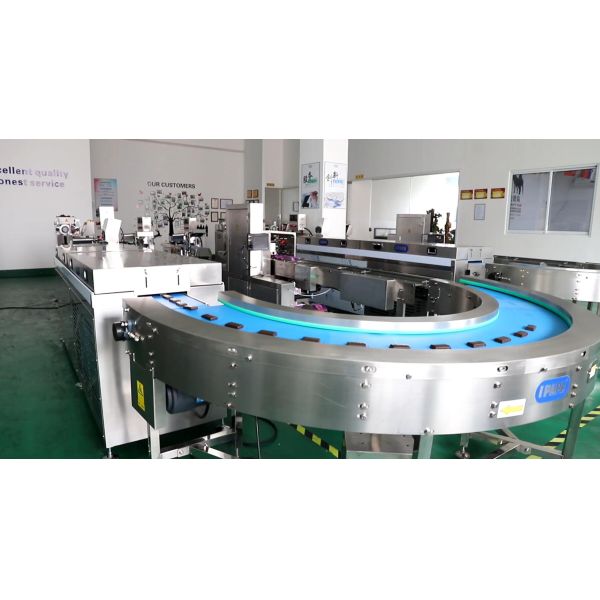 Small Stainless Steel 304 Chocolate Enrober Machine with Touch Screen and Low Noise Level for Chocolate Enrobing Line