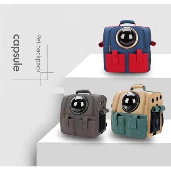 Portable Pet Carrier Bag Transparent Capsule Breathable Travel Parrot Cat Dog Bird Backpack