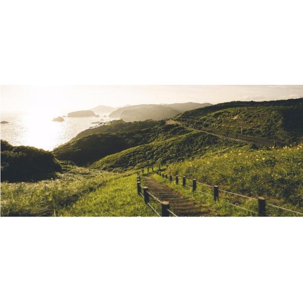 Italian King Size Bed Frame Wood Bed ZZ-BD012