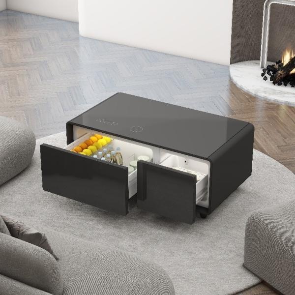 NO Private Mold Compressor Refrigerator Dual Zone Wine Cooler with Wooden Shelves