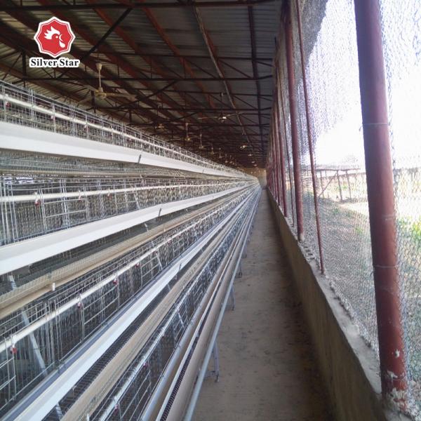 Tamanho do sistema 1950x2300x1500mm da gaiola da galinha da bateria dos pássaros do GV 90-384