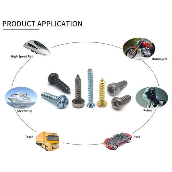 Thread Forming Screw for Plastic Metal Wood Customized Stainless Steel Powder Coating