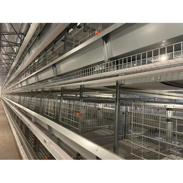 Professional Cage Poultry House Steel Wire Mesh Poultry Chicken Farm