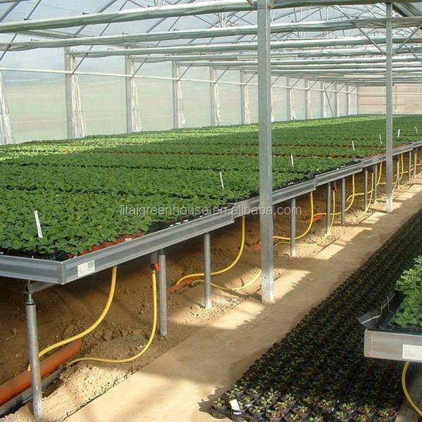 Seção 4m-5m Estufas A solução definitiva para o cultivo comercial sem solo