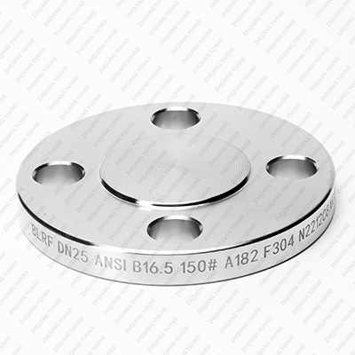 316, 316L, 304, 304L, Carbon Stainless Steel Blind Flange RF PN10 F316L