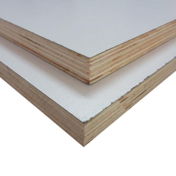 E1 Glue Poplar Core White Faced Plywood Sheets For Furniture
