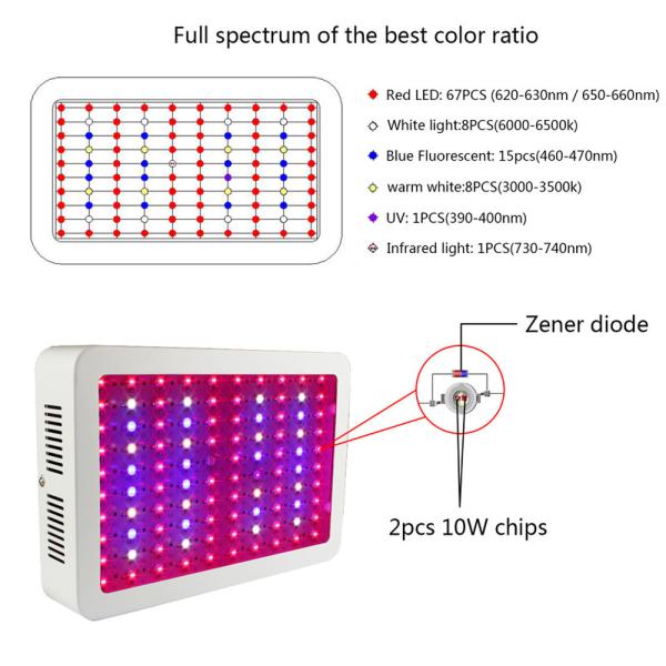 31cm 7200lm Full Spectrum LED Grow Lights 600 Watt Red Blue White UV