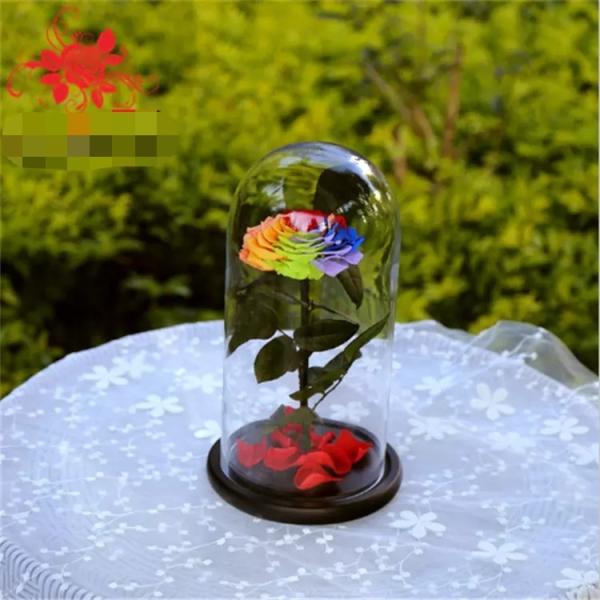 Preserved rose in glass terrariums with base for luxury gifts
