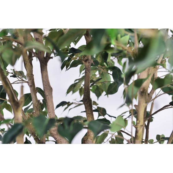 Large 280 cm 250cm Anti-Ultraviolet Large Fake Plants Banyan Tree Bonsai Plant Plastic Garden Supplies for Home Garden
