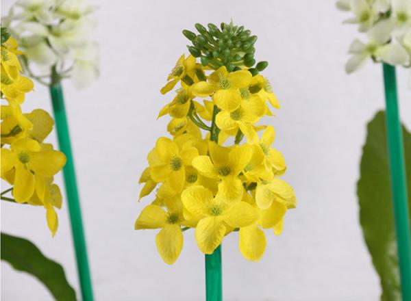 Emulation rapeseed lamp LED flower lamp outdoor lawn floor lamp lawn courtyard decoration lighting lamps