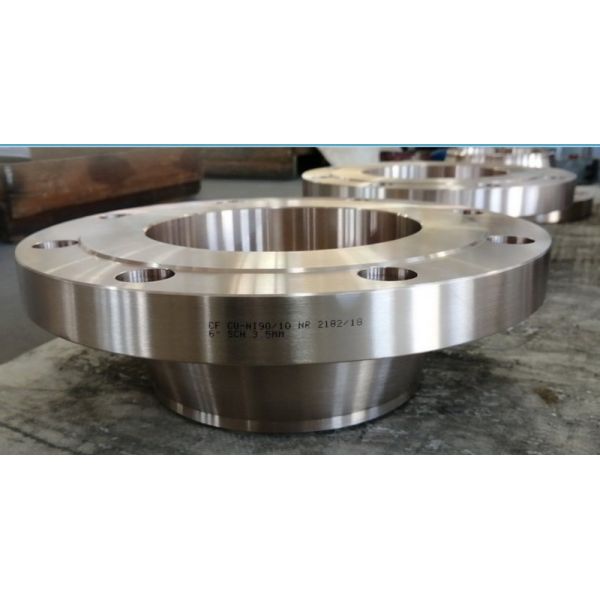 ASTM A182 N06600 High Strength Weld Neck Flange CL300 RF ASME B16.5