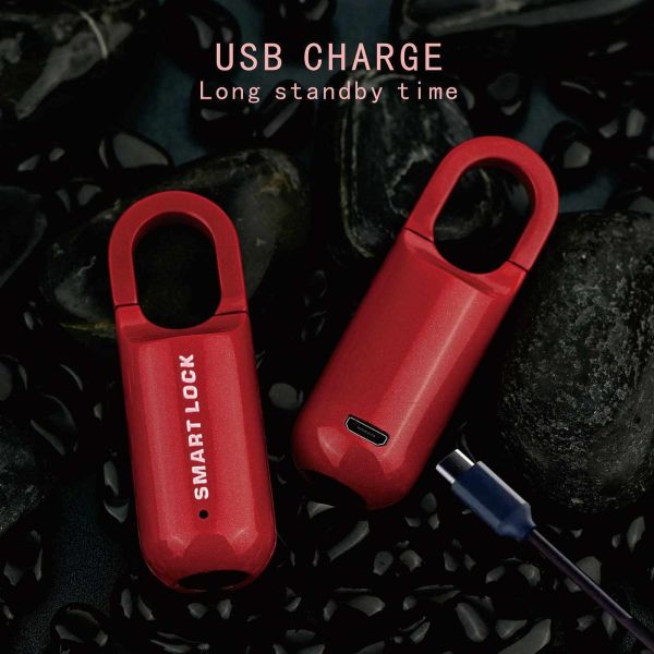 Best Selling RARLUX Smart Finger Print Zinc Alloy Padlock IP65 Waterproof Rechargeable 110mAh Battery 10 Fingerprint Lock School