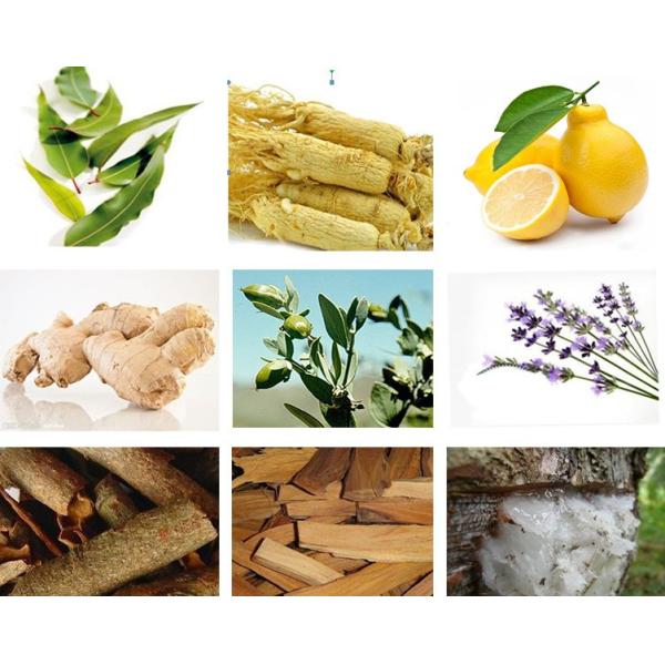 Energy Saving Essential Oil Vacuum Distillation Helichrysum Italicum Essential Oil Distiller for Hemp Oil Cdb Extractor