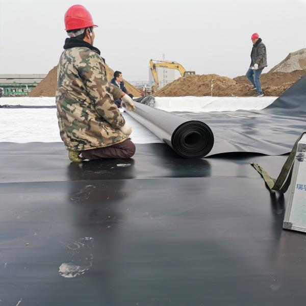 Waterproofing Fish Farm Pond with 100% Virgin HDPE Geomembrane in Industrial Design