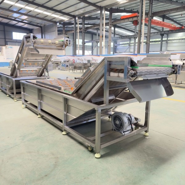 Date Fruit Palm Nut Washing Machine Vegetable Root and Stem Cleaning Machinery Food Processing Machine