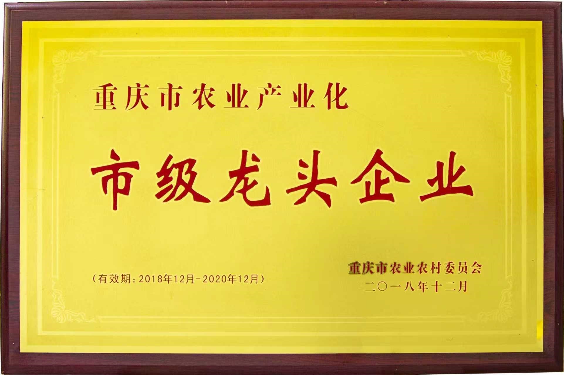 Chongqing Yeshanzhen Trading Co., Ltd. Certifications