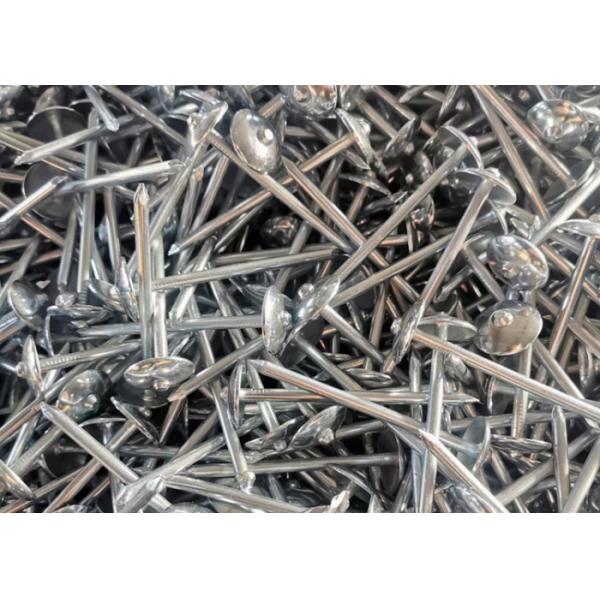 Cabeza de sombrilla cantora de la barandilla de techo galvanizado sumergido en caliente clavos con lavadora