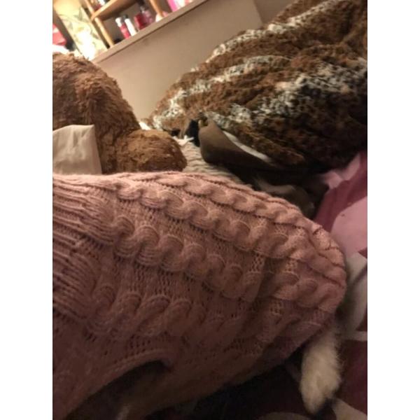 Фасонируйте размеру любимца подгонянному одеждами милые одежды собаки на осень/зима