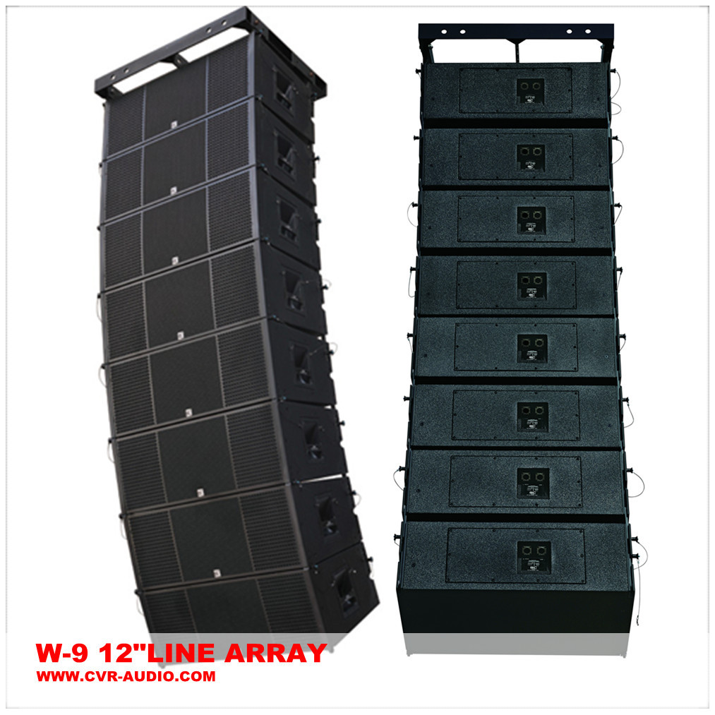 Single 10 Inch Active Line Array Speaker System Birch Plywood