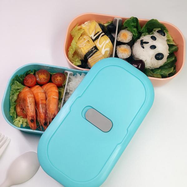 Custom Take Away Bento Lunch Box for Freshness Preservation Leak-Proof and Microwave Safe