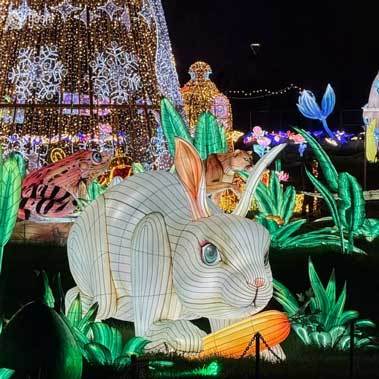 Custom Festival Lighting Animal Sculpture Lantern Eagle LED Light for Outdoor Zoo Park Decoration