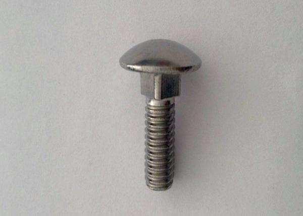 Round Head Square Neck Bolt , Carbon Steel / Stainless Steel Roundhead Bolt